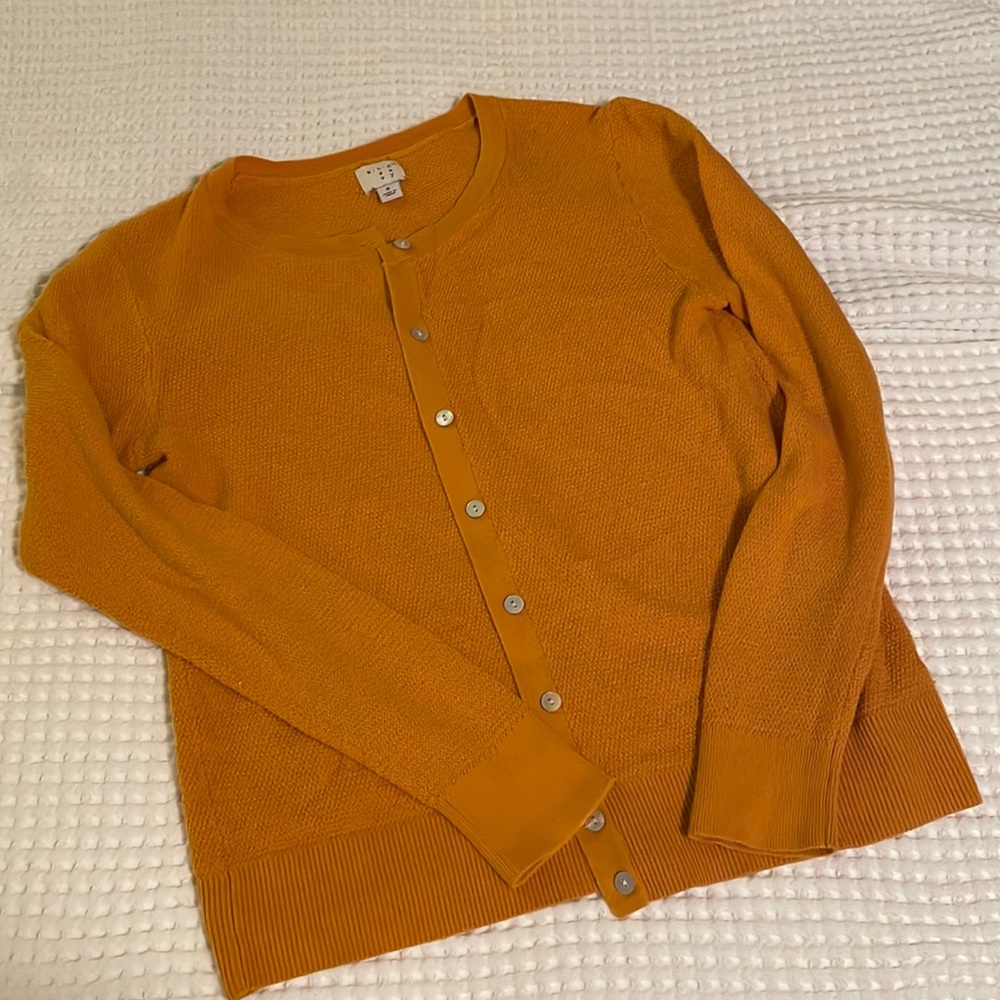 A New Day cardigan